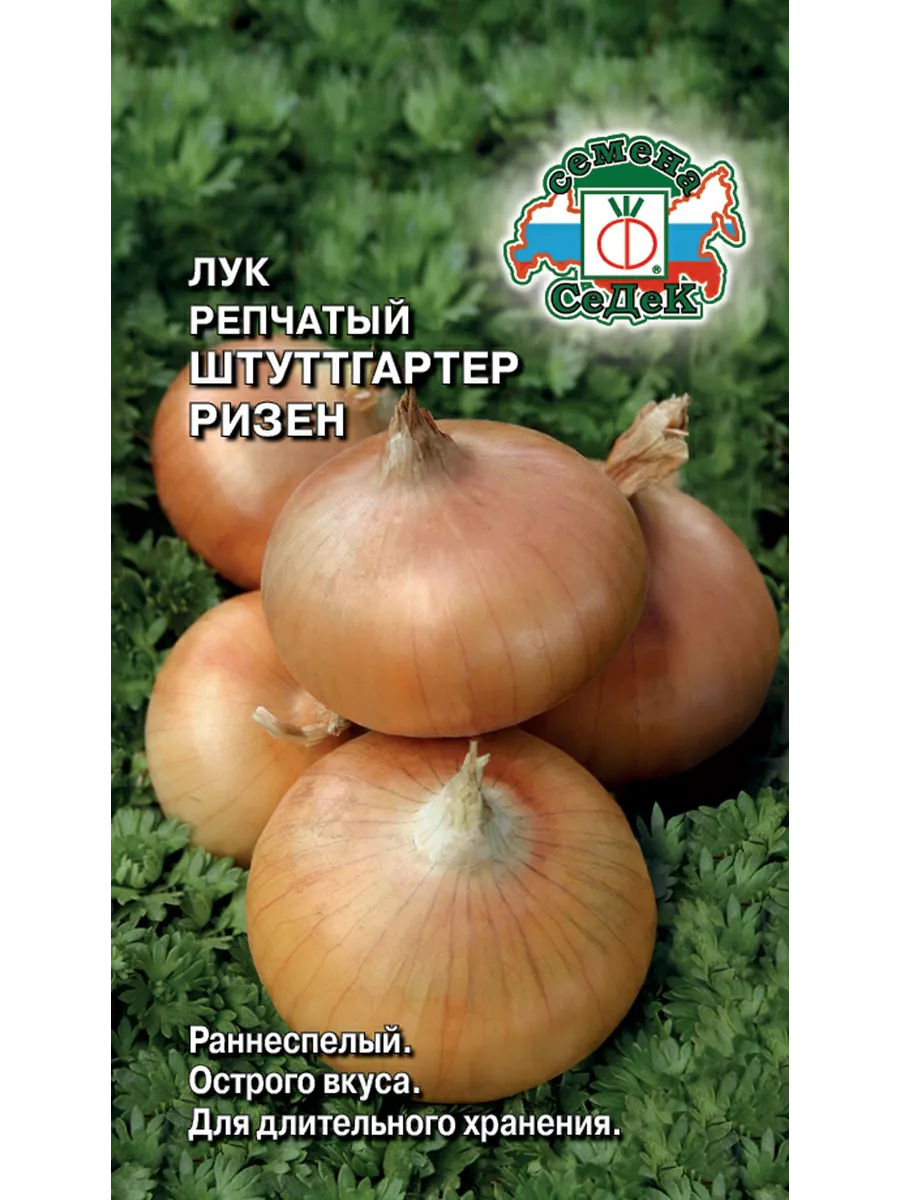Семена Лук Штуттгартер...