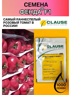 Семена томата Фенда F1 1000 штук Clause 222449511 купить за 14 700 ₽ в интернет-магазине Wildberries