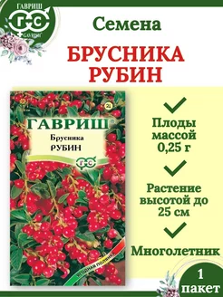 Семена Брусника Рубин-1 пакет Гавриш 222459855 купить за 131 ₽ в интернет-магазине Wildberries