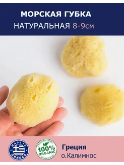 Губка морская натуральная, 8-9см Греция (о.Калимнос)