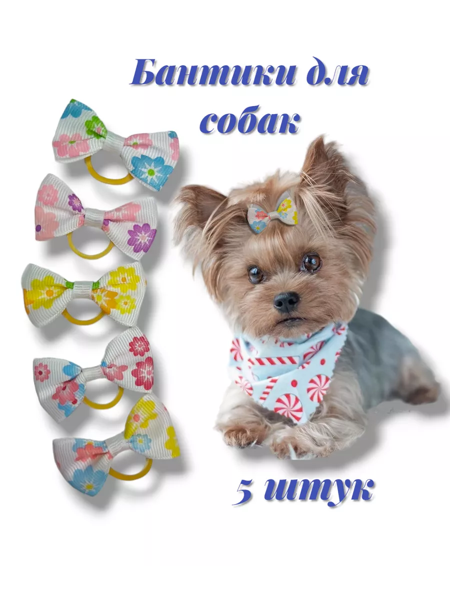 Бантики для собак