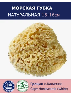 Губка морская натуральная, 15-16см Греция (о.Калимнос)