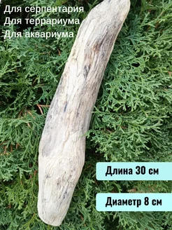 Коряга для аквариума натуральная морская