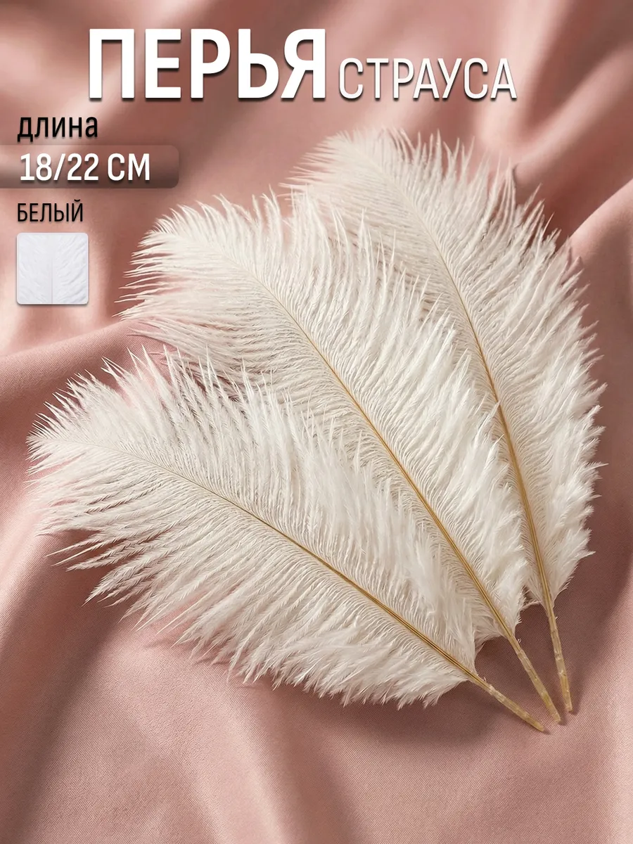 Перья страуса