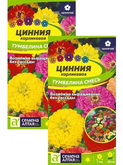 Цинния Тумбелина карликовая (0,2 г), 2 пакета