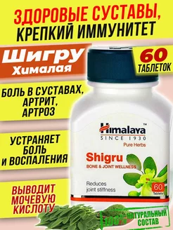 Shigru Хималая Шигру, 60 таб Индия Хималая 222743014 купить за 348 ₽ в интернет-магазине Wildberries