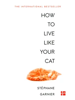 How to Live Like Your Cat Книга на Английском