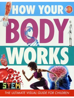 How Your Body Works. The Ultimate Visual Guide