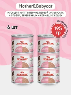 Корм для кошек влажный Mother & babycat 195г мусс (6шт) ROYAL CANIN 222916404 купить за 1 658 ₽ в интернет-магазине Wildberries