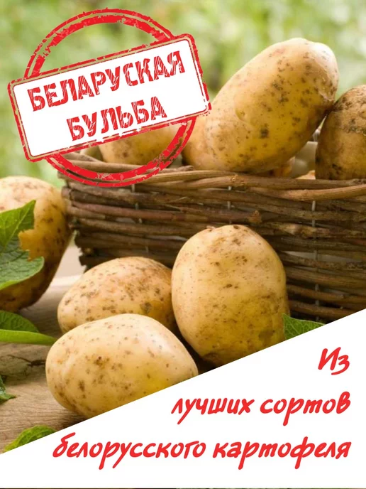 МАШПИЩЕПРОД Смесь сухая драники картофельные с укропом, вариант, фото 2