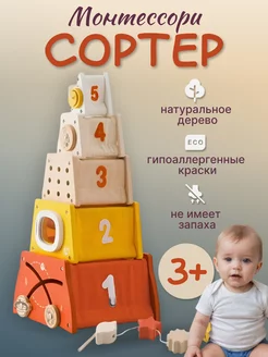 Сортер Монтессори деревянный детский набор