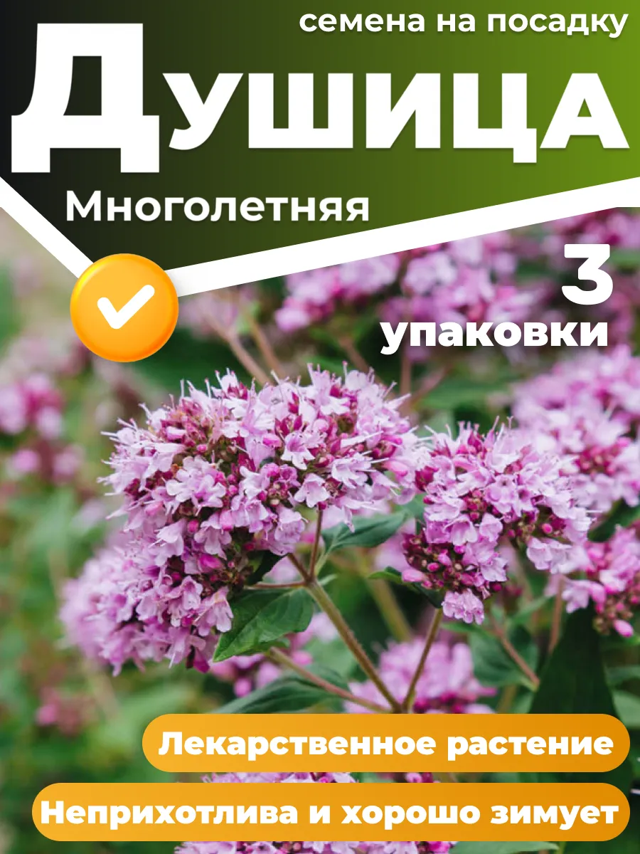 Душица семена 3 упаковки