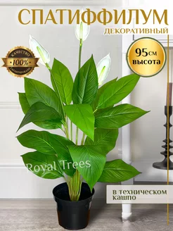 Искусственные цветы Спатифиллум 95 см Royal Trees 223120211 купить за 3 823 ₽ в интернет-магазине Wildberries