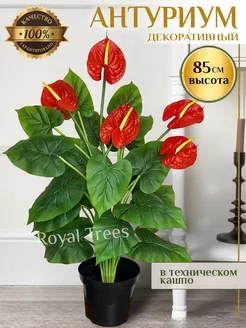 Искусственные цветы Антуриум 85 см Royal Trees 223140848 купить за 3 888 ₽ в интернет-магазине Wildberries