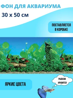 Фон для аквариума 30х50см 223145249 купить за 152 ₽ в интернет-магазине Wildberries