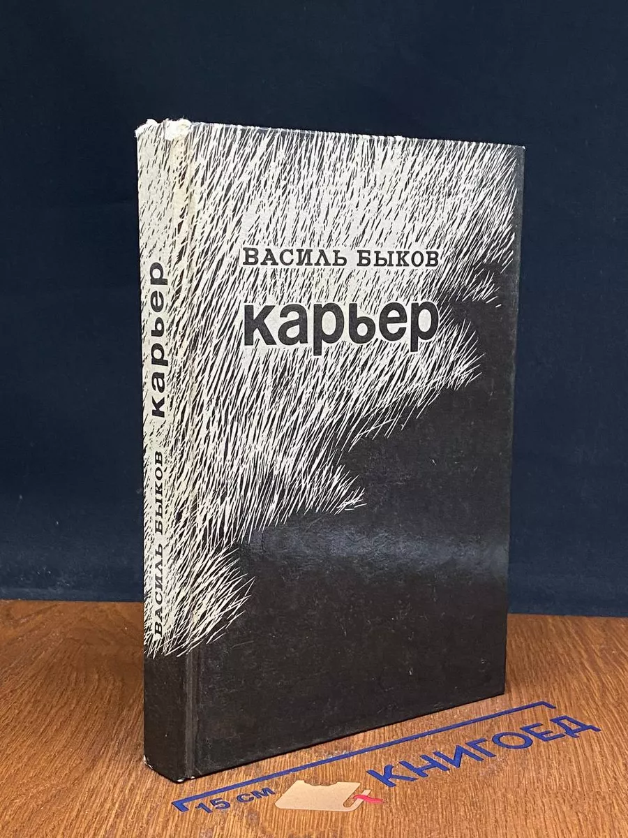 Карьер