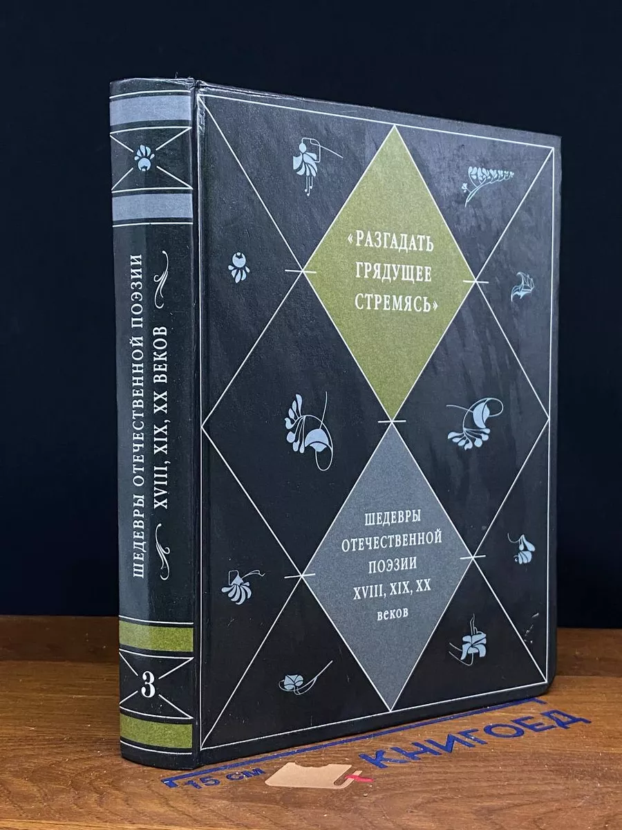Шедевры отечественной поэзии XVIII, XIX, XX вв. Том 3