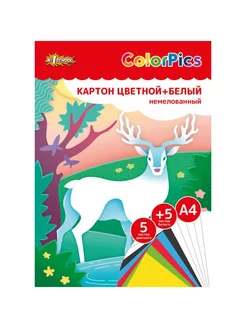 Картон цветной+ белый немелованный 10л А4 №1 ColorPics