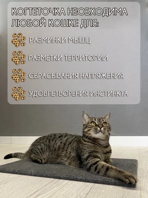 Mighty Cats Когтеточка для кошки напольная лежанка, серый, фото 3