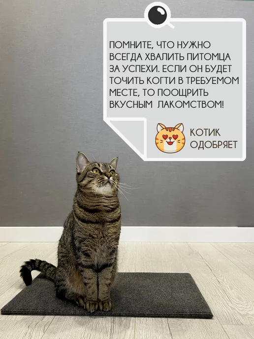 Mighty Cats Когтеточка для кошки напольная лежанка, серый, фото 4