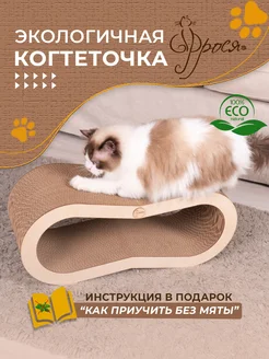 Когтеточка напольная из картона для кошки ФРОСЯ 223307931 купить за 1 233 ₽ в интернет-магазине Wildberries