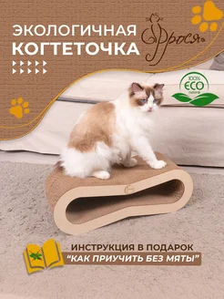 Когтеточка из картона не большая картонная для кошки ФРОСЯ 223307932 купить за 816 ₽ в интернет-магазине Wildberries