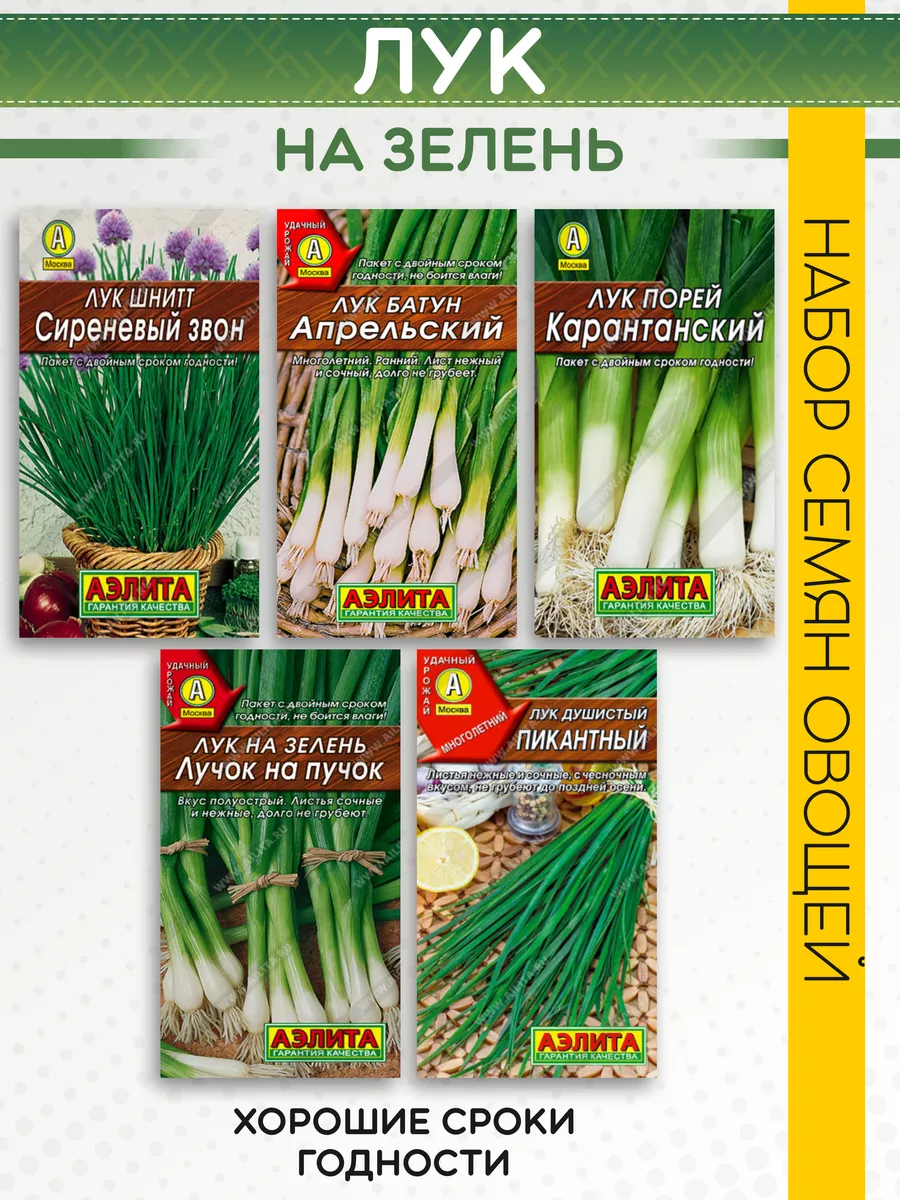 Семена лука на зелень