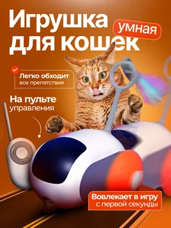 Игрушка для кошек умная машинка PatL 223312419 купить за 762 ₽ в интернет-магазине Wildberries