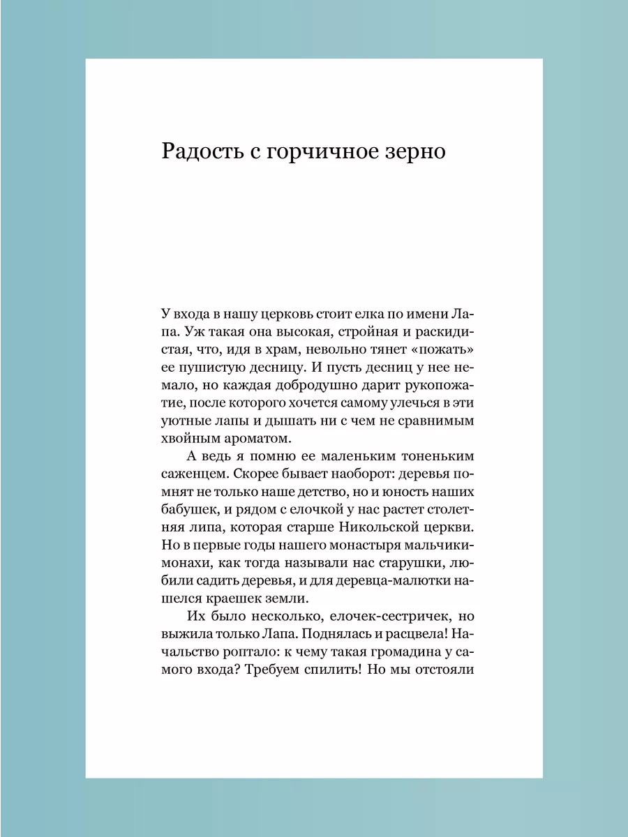 Радость с горчичное зерно Архимандрит Савва (Мажуко) Никея 223313011 купить  за 456 ₽ в интернет-магазине Wildberries