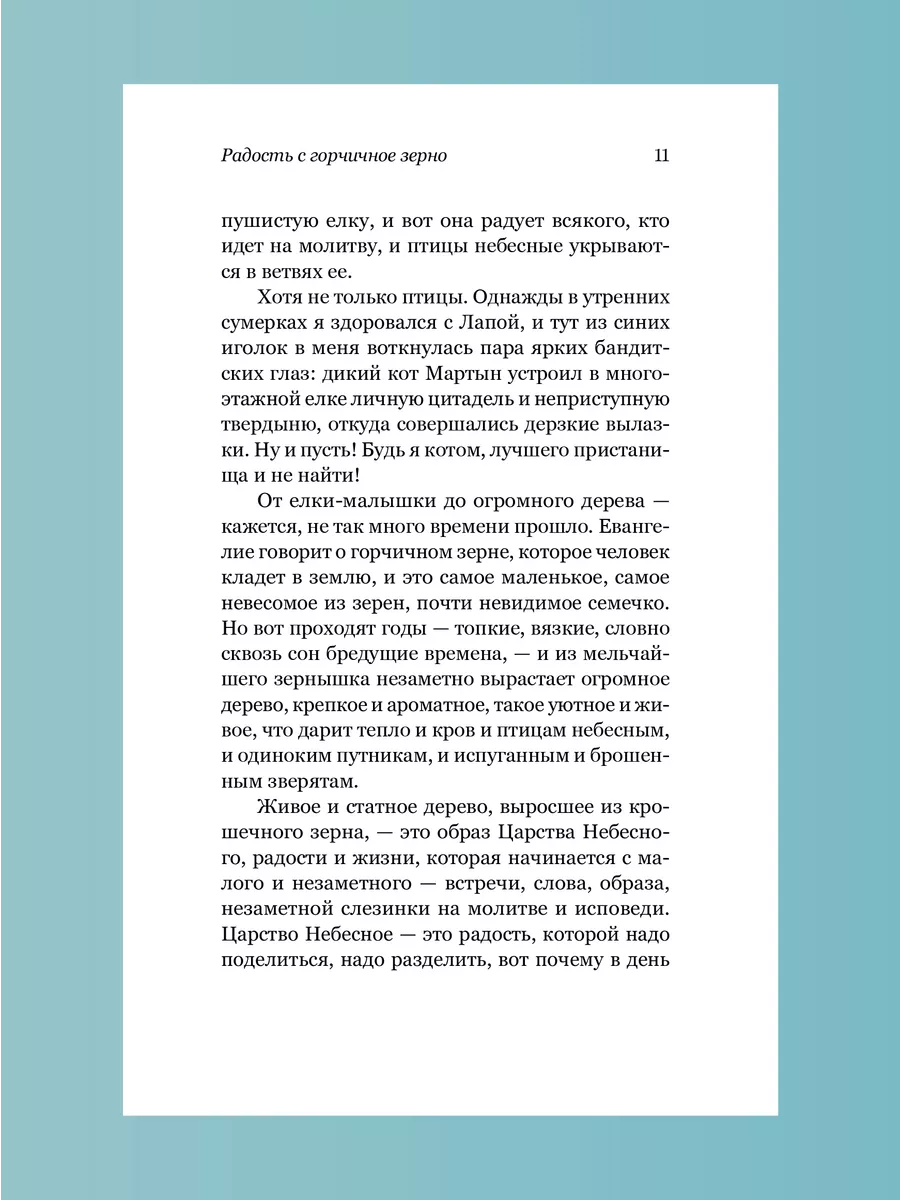 Радость с горчичное зерно Архимандрит Савва (Мажуко) Никея 223313011 купить  за 473 ₽ в интернет-магазине Wildberries