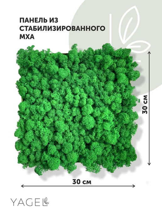 Yagel Декоративная панель из Стабилизированного мха