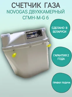 Счетчик газа СГМН-М-G 6 250 правый 1 1 4"