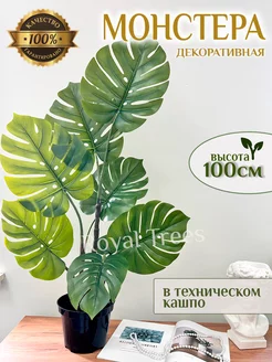 Искусственное дерево Монстера 100 см Royal Trees 223382991 купить за 2 882 ₽ в интернет-магазине Wildberries