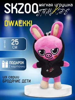 Игрушка Свинка Чанбин DWAEKKI Stray Kids в худи