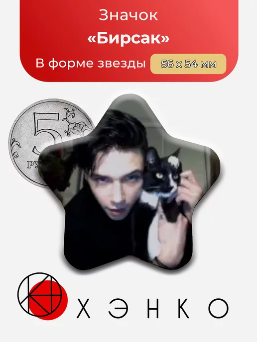 Певец Энди Бирсак