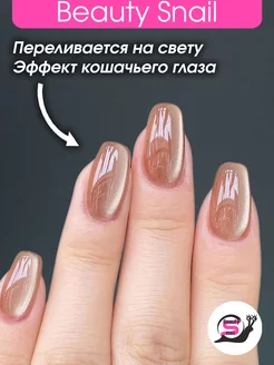 Накладные ногти с дизайном и клеем типсы кошачий глаз Beauty Snail 223439089 купить за 360 ₽ в интернет-магазине Wildberries