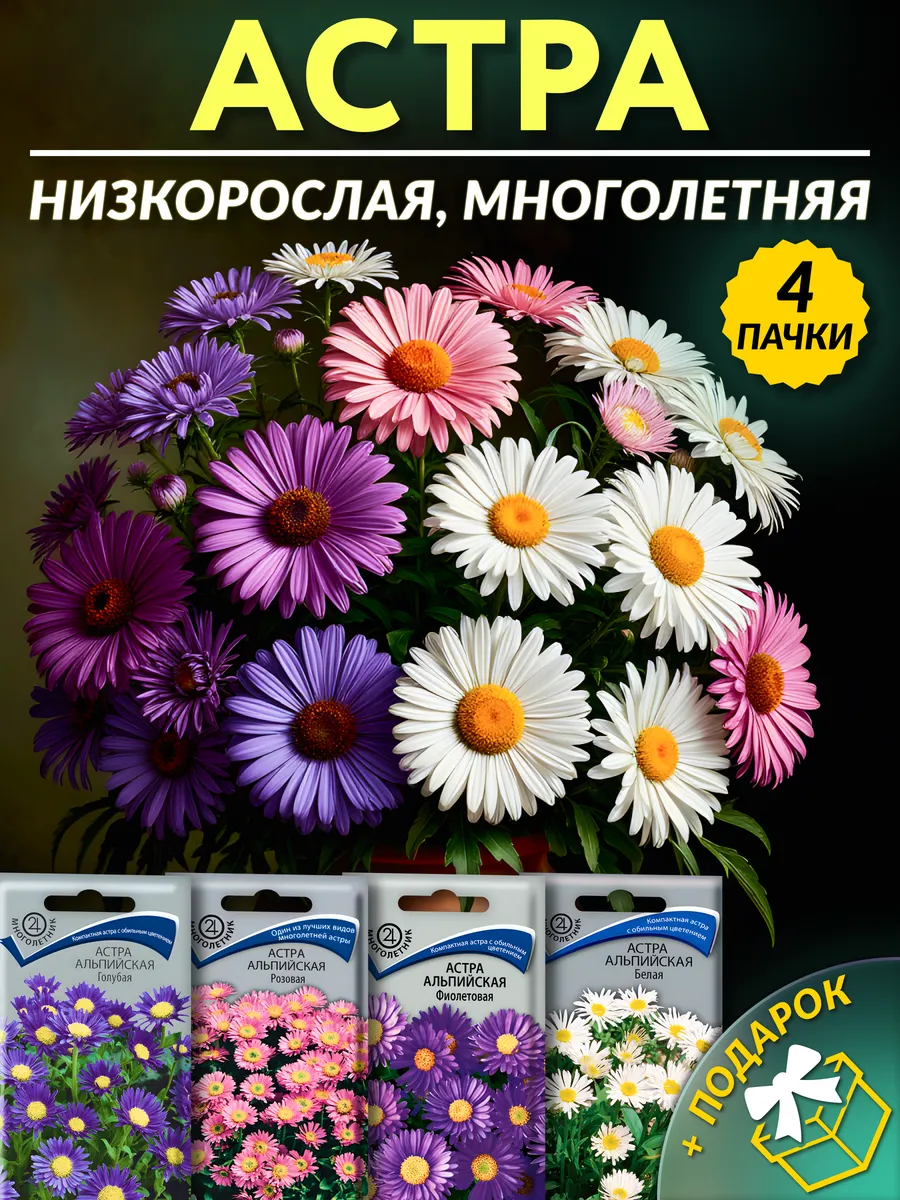 Семена астры многолетней