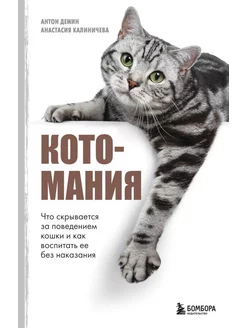 Котомания. Что скрывается за поведением кошки и как воспи