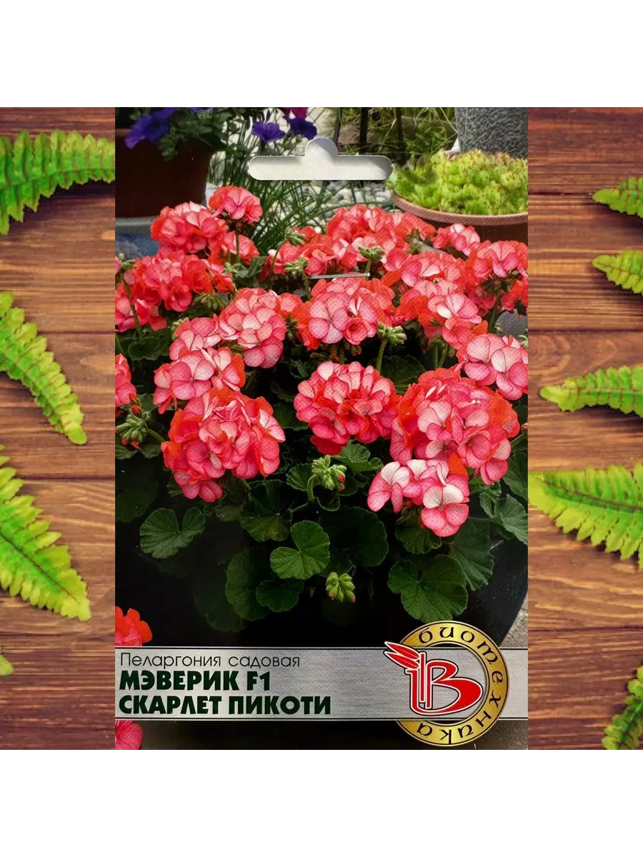 Желтая Герань Купить Семена