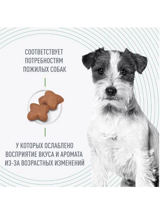 Сухой корм Royal canin Старше для собак, взрослые, мелкие, 2 кг, фото 2