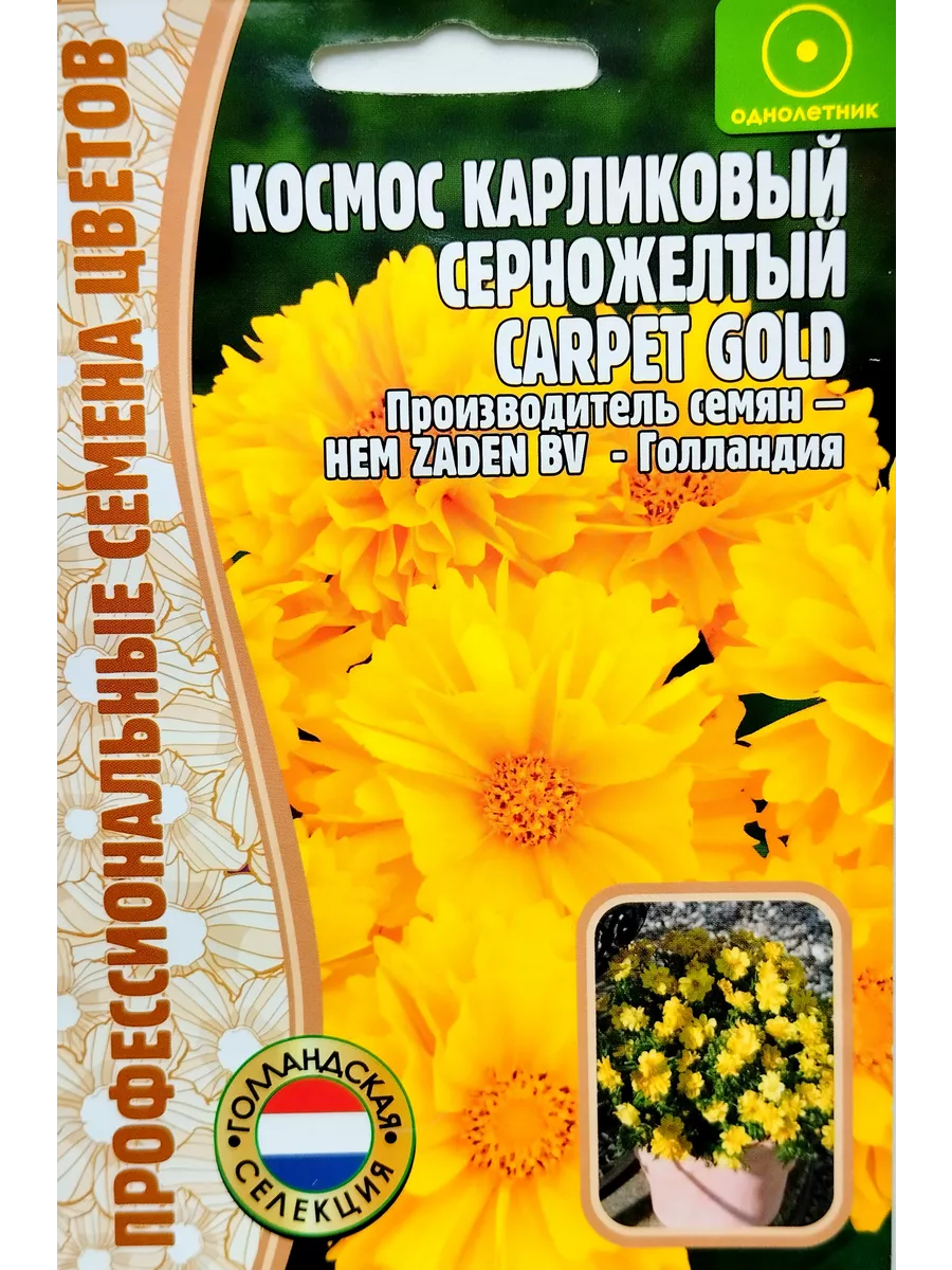 Космея Карпет Голд Космос