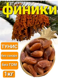 финик тунис