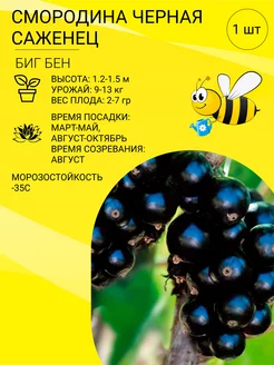 Интернет-магазин Wildberries: широкий ассортимент товаров - скидки каждый день!