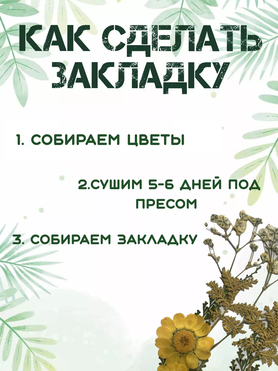 Цветы. Плакат