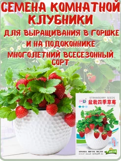 Виноград комнатный Labruska, Виноградное дерево, семена 247734246 купить за 345 ₽ в интернет-магазине Wildberries