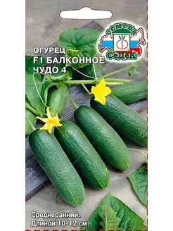 Огурец для комнатного выращивания Балконное Чудо