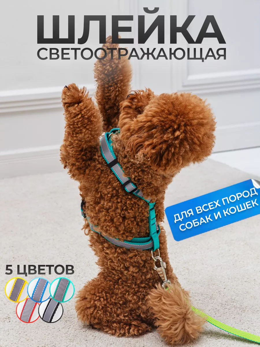 Шлейка с светоотражающей лентой