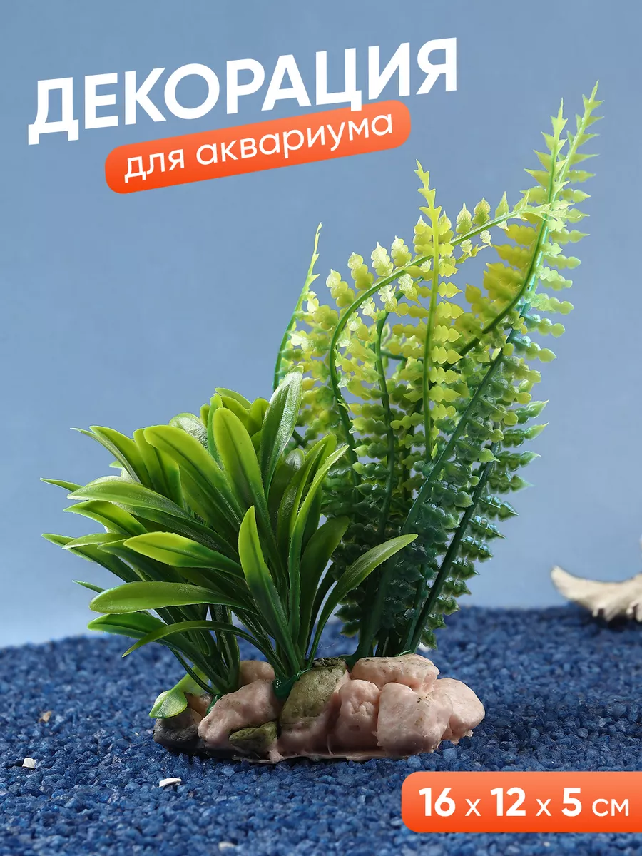 Зелень для аквариума