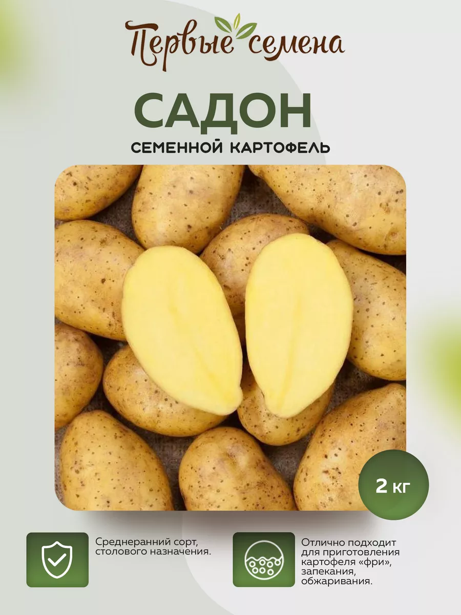 Картофель семенной Садон (2 кг) ПЕРВЫЕ СЕМЕНА 223879419 купить за 58 ₽ в  интернет-магазине Wildberries