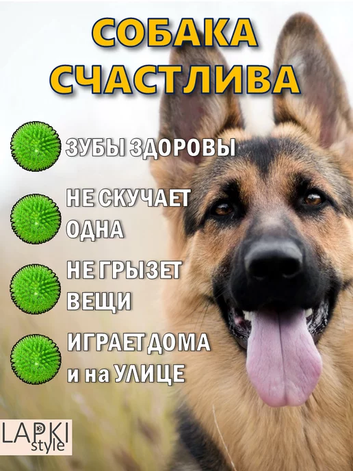 LapkiStyle Мяч для собак с шипами и пищалкой 11 см, зеленый, фото 2